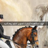 تابلو دکوراتیو کد 2130