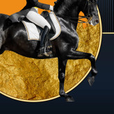 تابلو دکوراتیو ( 1319-rosegold )