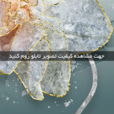 تابلو دکوراتیو ( 1511-rosegold )